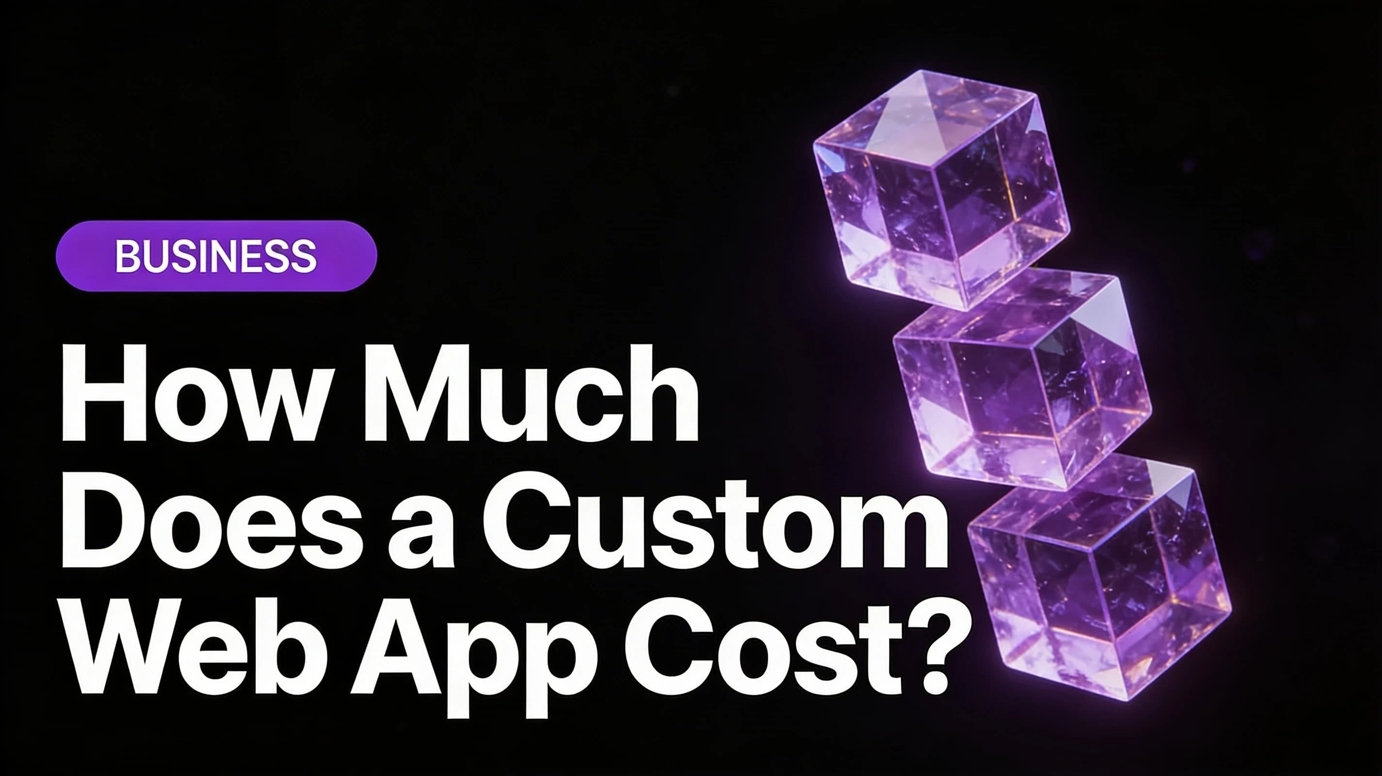 How Much Does Custom Web Application Development Cost?